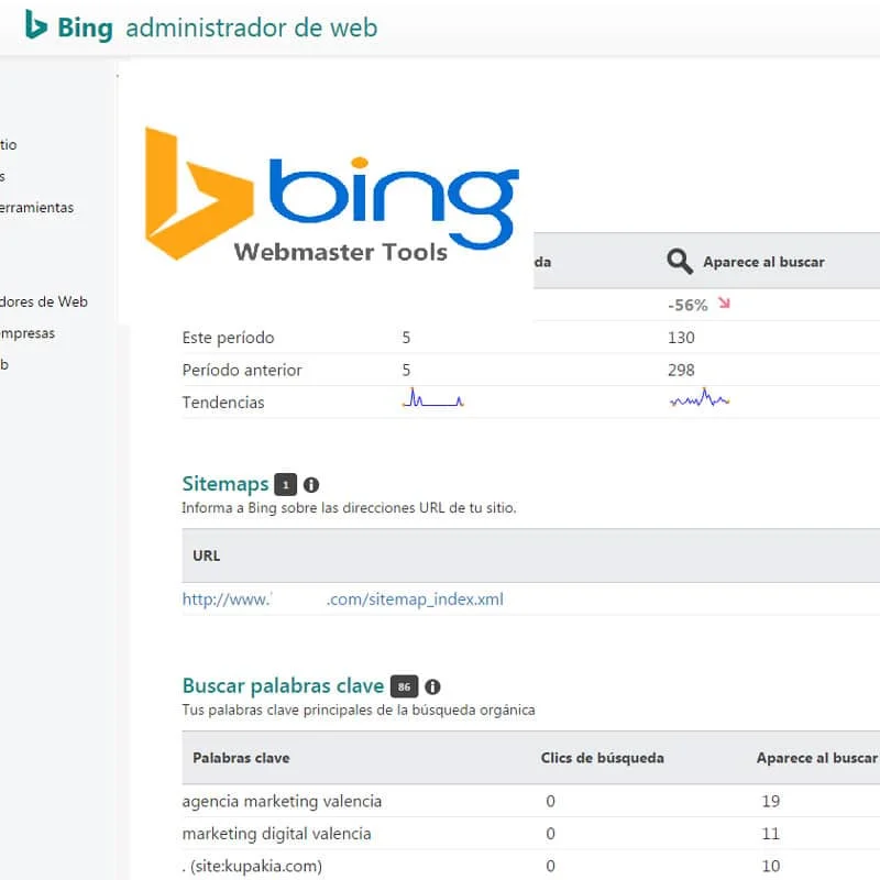Webmasters de Bing