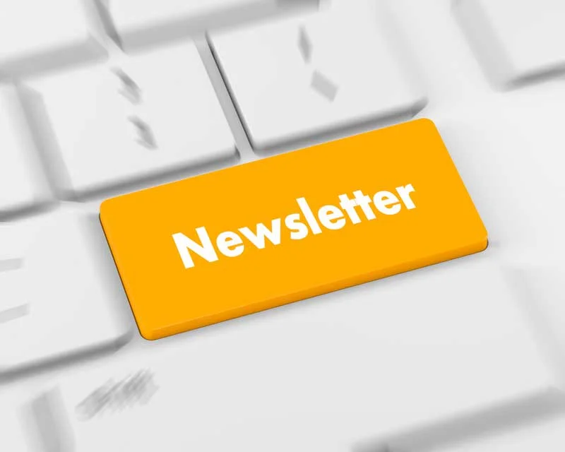 newsletter newsletter