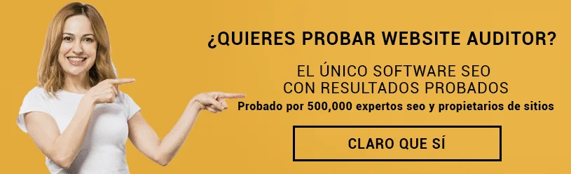 BANNER AUDITOR